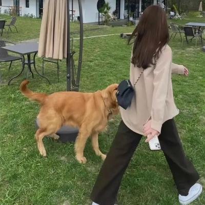 老爸上战场