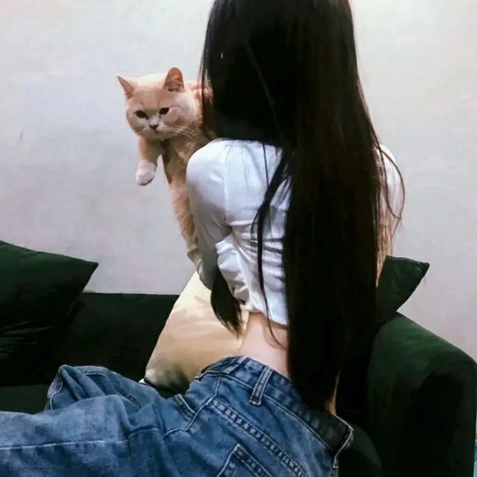 单骑歼霸